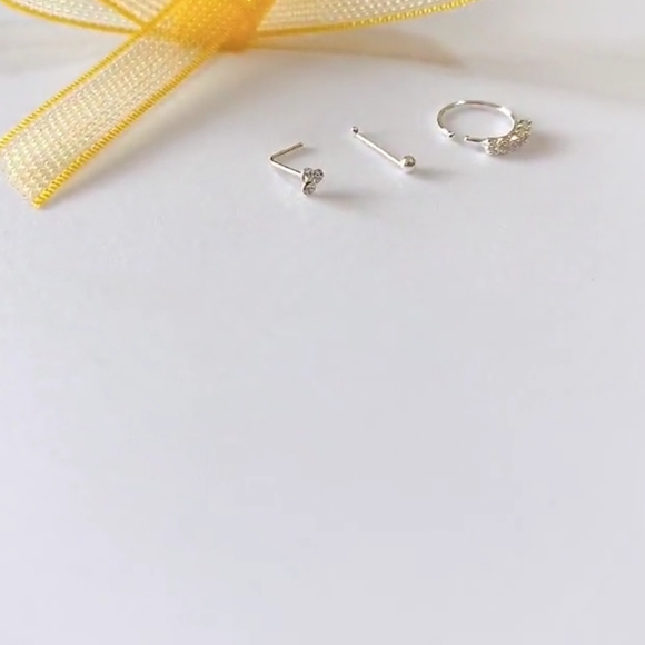 3 Nose Rings - Picture 5 of 7